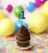 1 Bir Yaş Doğum Günü Süsü Çıkartmaları SİMLİ 15 ADET PARTİ MALZEMELERİ - 6