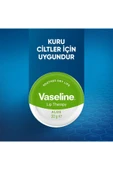 Vaseline Dudak Kremi Lip Therapy Aloe Vera 20 gr - 5