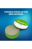 Vaseline Dudak Kremi Lip Therapy Aloe Vera 20 gr - 4