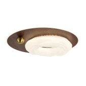 Apliqa Noirre Ahşap Detaylı Plafonyer Ledli Avize thumbnail 3