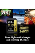 Lexar 256GB Lexar® Professional 2000x SDXC™ UHS-II cards, - LSD2000256G-BNNNG - 5