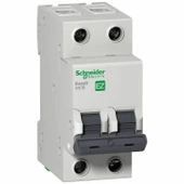 Schneider 2x25 Amper 2 Fazlı C Tipi Otomatik Sigorta EZ9F43225 - 1