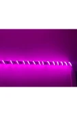 Adal Pembe Renk 12v Neon Led (5 METRE) thumbnail 1