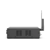 Arylic A100 Stream Amfi - 3
