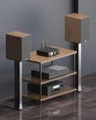 Arylic A100 Stream Amfi - 2