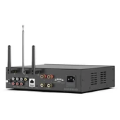 Arylic A100 Stream Amfi - 6
