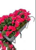 Nettenevime Yapay Çiçek Fuşya Begonvil Sarkan Menekşe Antrasit Küpeşte Askılı Saksıda Balkon Çiçeği Çiçek Sepeti thumbnail 2
