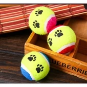 At Getir Köpek Eğitim Topu (5047) - 1