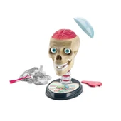 64322 Bilim ve Oyun - Çılgın Anatomi +7 yaş thumbnail 2