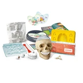 64322 Bilim ve Oyun - Çılgın Anatomi +7 yaş thumbnail 3