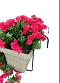 Nettenevime Yapay Çiçek Fuşya Begonvil Sarkan Menekşe Mokka Küpeşte Askılı Saksıda Balkon Çiçeği Çiçek Sepeti thumbnail 4