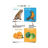 2090 Dıytoy, İlk Kütüphanem-İlk Sözcükler 8'Li Mini Kitap Seti thumbnail 4