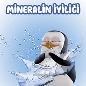 Familia Islak Havlu Mineralli 18x90lı (1620 Yaprak) - 3