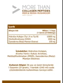 More Than Kakaolu Kolajen Peptit Msm & Reişi Mantarı 30 Saşe - 2