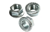 Altıköşe Flanşlı Somun M10 - 100 Adet - 1