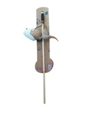 Nunbell Kedi Oltası - 1