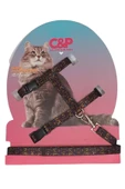 collars and paws Kedi Göğüs Tasması Ve Gezdirme Seti - 1