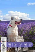 Supravet Dry Shampoo Lavanta Özlü Kedi Köpek Toz Şampuan 150 Ml thumbnail 2
