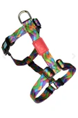 collars and paws Köpek Tasması Harnes Colors (h Tipi) thumbnail 1