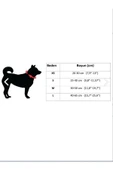 collars and paws Köpek Boyun Tasması Pattern - 2