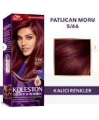Koleston Intense 5-66 Patlıcan Moru - 1