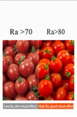 Panasonic 6W (62W) Led Spot Ampul Beyaz 6500K - GU10 Duy 3 Adet - 4