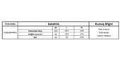 Yakası ve Kol Ucu Dantelli Kurdele Detaylı Tek Sabahlık - 3