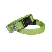 Köpek Tasması Dokuma 2 cm - Min: 30 cm - Max: 50 cm Yeşil - 1