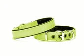 Yumuşak Doku Köpek Boyun Tasması 2/45 cm Yeşil - 1