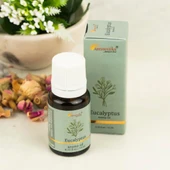 Aromatika Eucalyptus okalitüs aromatik yağ difüzör ve buhurdanlık kokusu 10 ml - 1