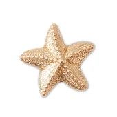 Crocs Jibbitz™ Charm Gold Star Fish Terlik Süsü 10011621 - 1
