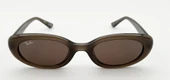 RAY-BAN 4441D 677973 53 Kadın Güneş Gözlüğü - 1