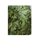 Sidr Yaprağı (Zizyphus Spina),Arabistan Kirazı Yaprağı, 1 Kg, Derya Eren thumbnail 2