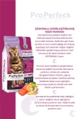 PREMİUM KISIRLAŞTIRILMIŞ SOMONLU PORTAKALLI KEDİ MAMASI 2 KG - 2