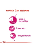 ® Savour Exigent Seçici Kedilere Özel Yetişkin Kedi Maması 2 Kg - 4