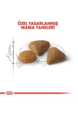 ® Savour Exigent Seçici Kedilere Özel Yetişkin Kedi Maması 2 Kg - 5