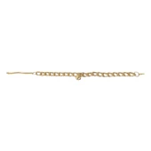 Kedi Ve Köpek Lüx Zincir Kolye 25-30 cm Medium Gold - 6