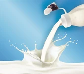 İnek Tasarımlı Sevimli Cam Suluk - Süt Şişesi 1000 ML - 4