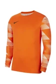 Nike M NK DF Park IV JSY GK CJ6066-819 Kaleci Forma - 1