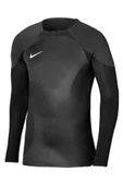 Nike DH7967-060 M Nk Dfadv Gardien IV GK JSY LS Siyah Kaleci Forması - 1
