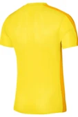 Nike Dri-FIT Academy23 Top SS DR1336-719 Sarı Erkek Antrenman Tişörtü thumbnail 2