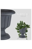 0,5 Litre Nergis Saksı Ayaklı Plastik Çiçek Saksısı - 2