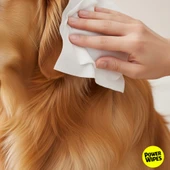 Power Wipes Kedi ve Köpekler İçin Güçlü Islak Havlu 100 Adet - 2