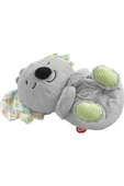 FISHER PRICE Grt59 Fp Uyku Arkadaşı Koala - 5