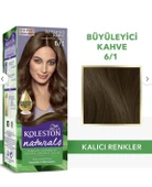 Koleston Naturals 6-1 Büyüleyici Kahve - 1