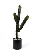 YAPAY ÇİÇEKÇİNİZ Taş Kaplı Siyah Saksısında Yapay Texas Kaktüs thumbnail 2