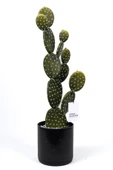 YAPAY ÇİÇEKÇİNİZ Taş Kaplı Siyah Saksısında Yapay Texas Kaktüs thumbnail 4