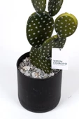 YAPAY ÇİÇEKÇİNİZ Taş Kaplı Siyah Saksısında Yapay Texas Kaktüs thumbnail 3
