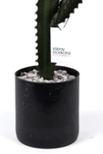 YAPAY ÇİÇEKÇİNİZ Taş Kaplı Siyah Saksısında Yapay Texas Kaktüs thumbnail 3