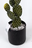 YAPAY ÇİÇEKÇİNİZ Taş Kaplı Siyah Saksısında Yapay Texas Kaktüs thumbnail 5